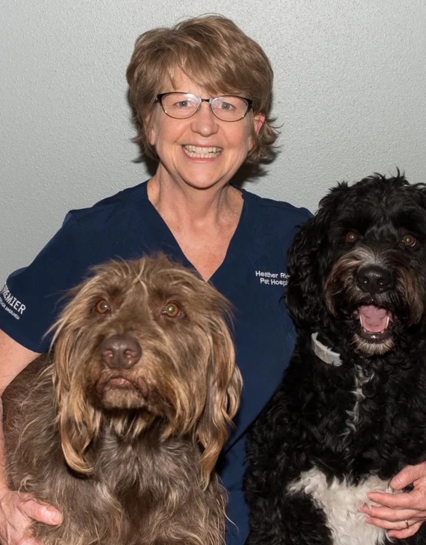 Dr. Mary Kaufman's staff photo from Heather Ridge Pet Hospital where she is posing with her two dogs next to her.